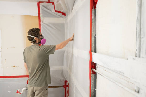 Best Indoor Air Quality Assessment  in Chandler, AZ
