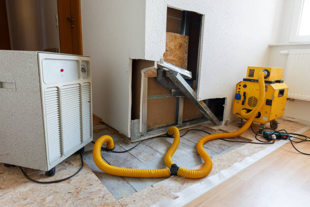 Best Forensic Mold Investigation  in Chandler, AZ