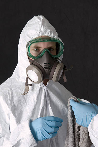 Best Industrial Mold Remediation  in Chandler, AZ